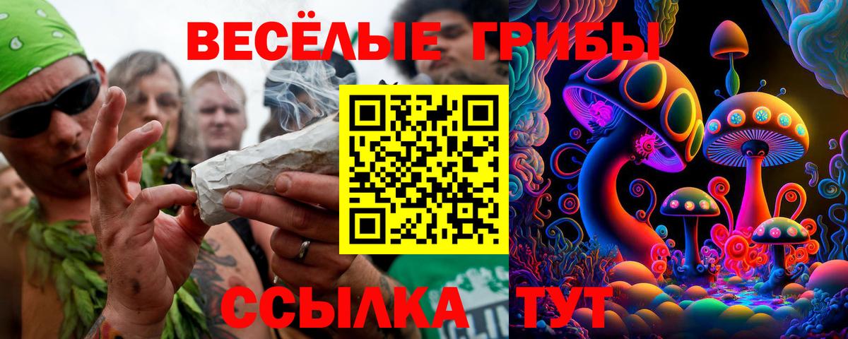 Псилоцибиновые грибы мицелий Грозный