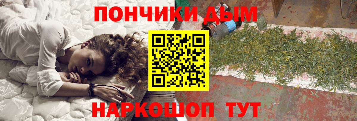 Бошки Шишки сатива Грозный